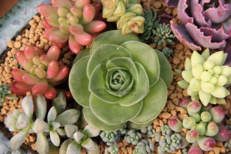 ̨ɽƽңųǾָƱշ